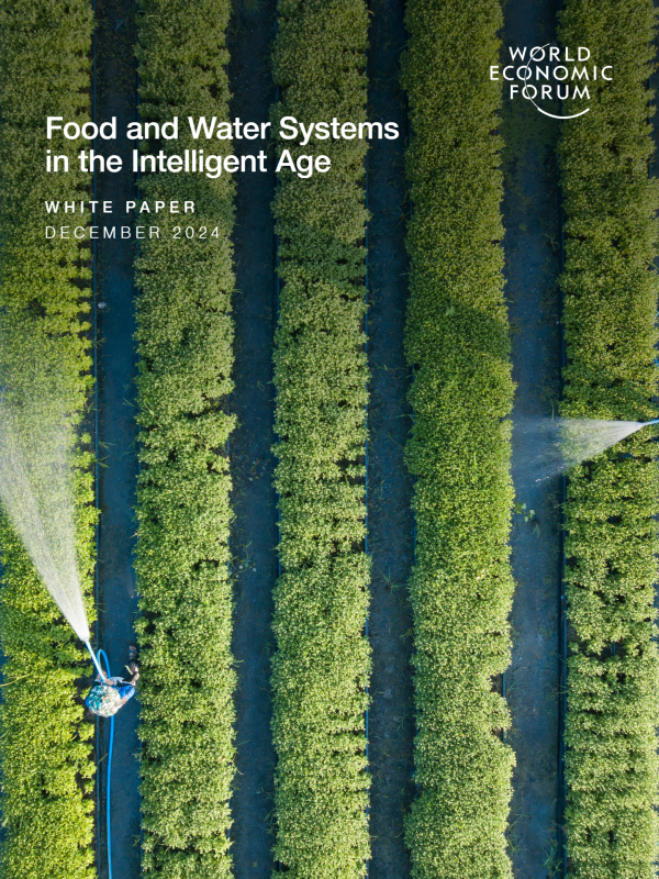 《智能时代的食物和水系统》