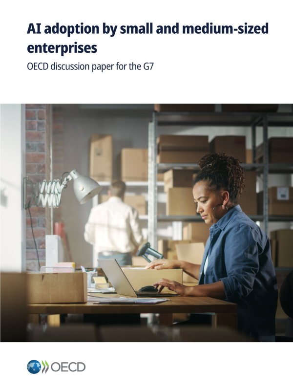《2025年中小企业采用人工智能-经合组织G7讨论文件》（英文版）