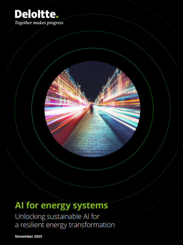 《2025年AI赋能能源系统：解锁可持续AI助力韧性能源转型研究报告》（英文版）