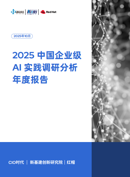 《2025中国企业级AI实践调研分析年度报告》